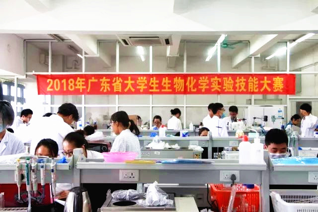 化能巨乳美女
学生荣获广东省生物化学实验技能大赛二等奖02.jpg